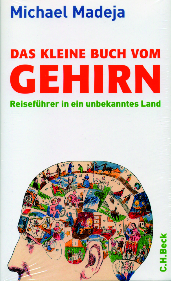 Madeja: Das kleine Buch vom Gehirn