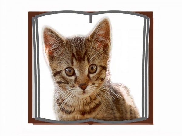 KlickTool Literacy AAC