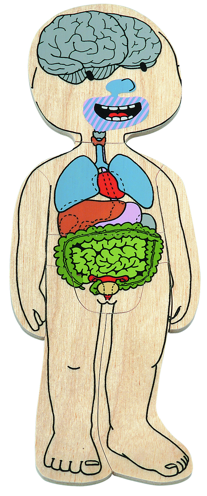 Lagenpuzzle Mädchen