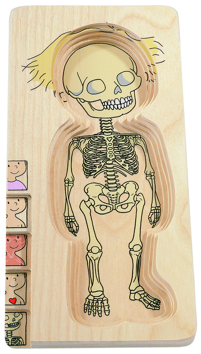 Lagenpuzzle Mädchen