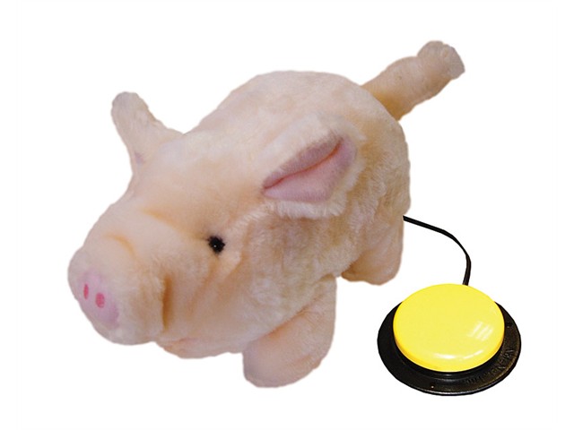 Freddy – Schweinchen mit Bewegung