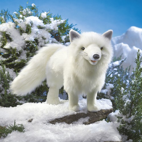 Polarfuchs
