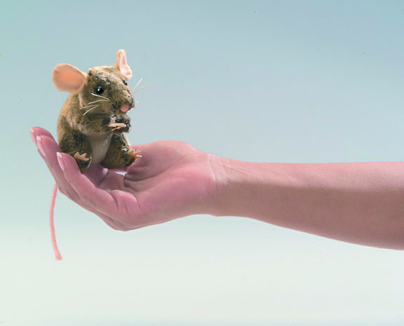 Mini-Maus