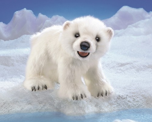 Kleiner Eisbär