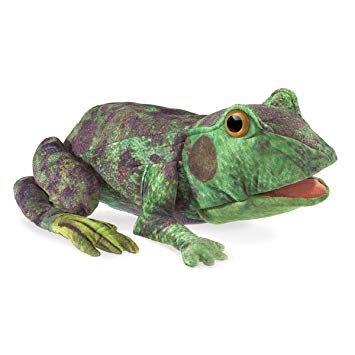Metamorphose Frosch
