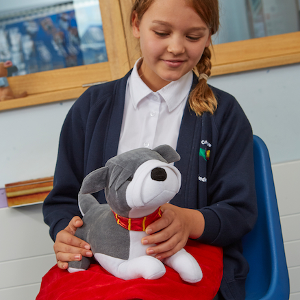Gewichteter Schoßhund Willy mit Platzdecke