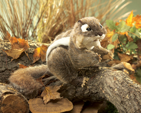 Streifenhörnchen