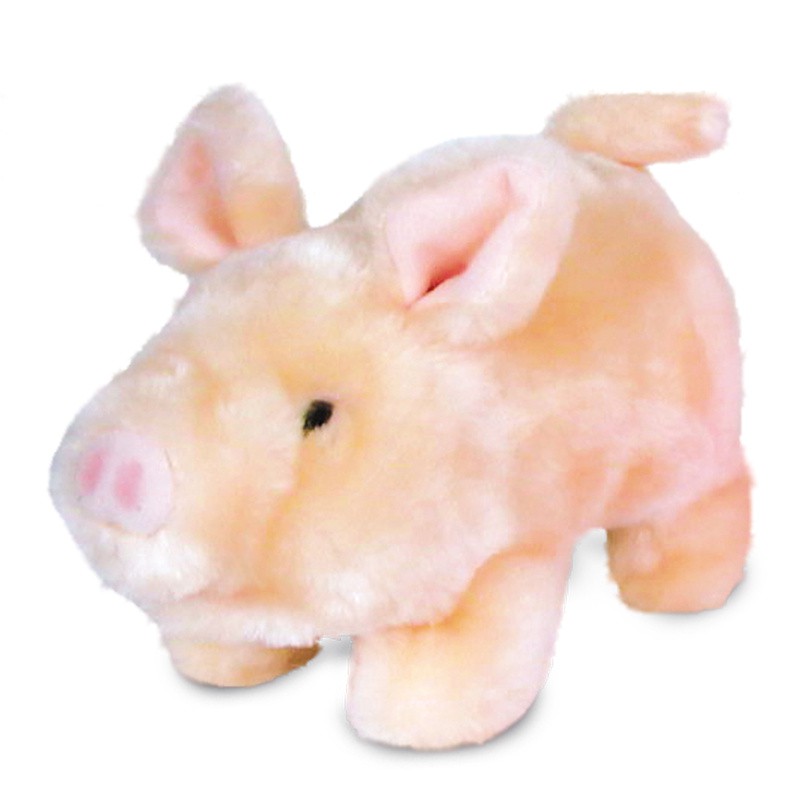 Freddy – Schweinchen mit Bewegung