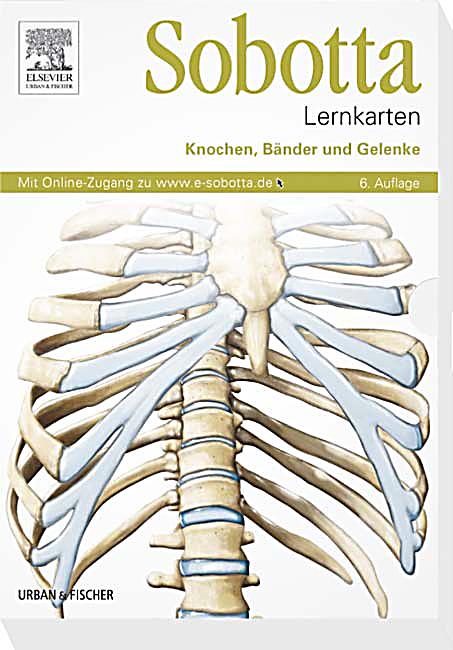Bräuer: Sobotta Lernkarten - Knochen, Bänder und Gelenke