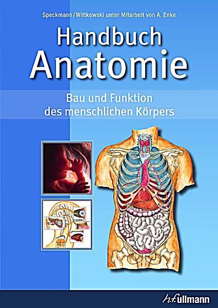 Speckmann / Wittkowski: Handbuch Anatomie