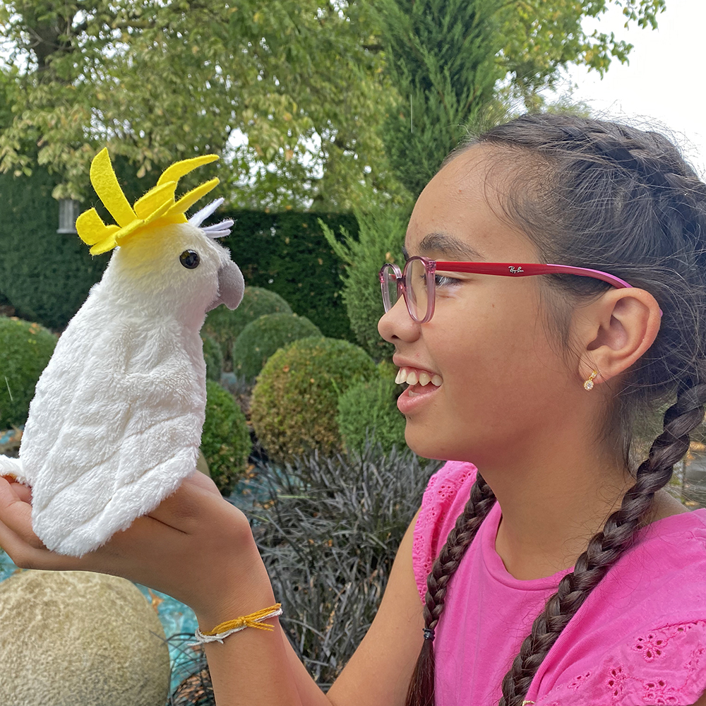 Nachsprech-Kakadu Conny bei ARIADNE