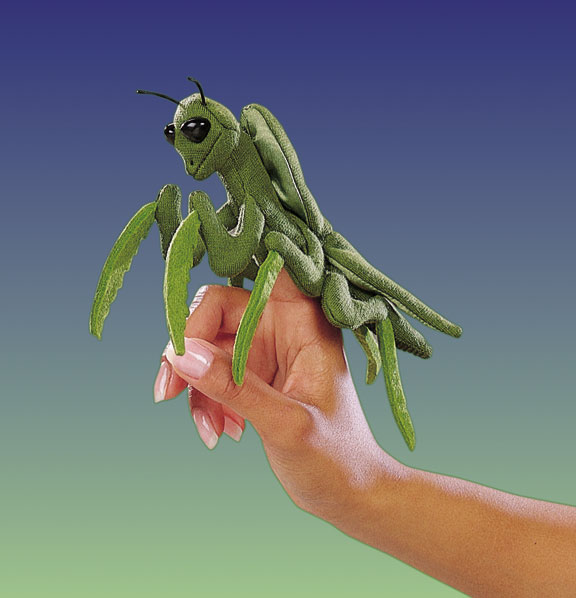 Mini-Gottesanbeterin
